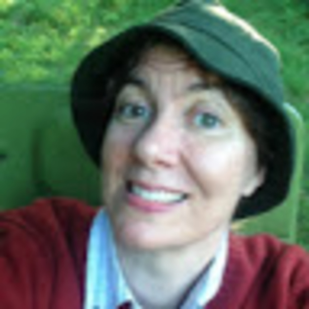 Meet your Posher, Analesa